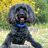 Team GB Triomphe Logo Dog Collar