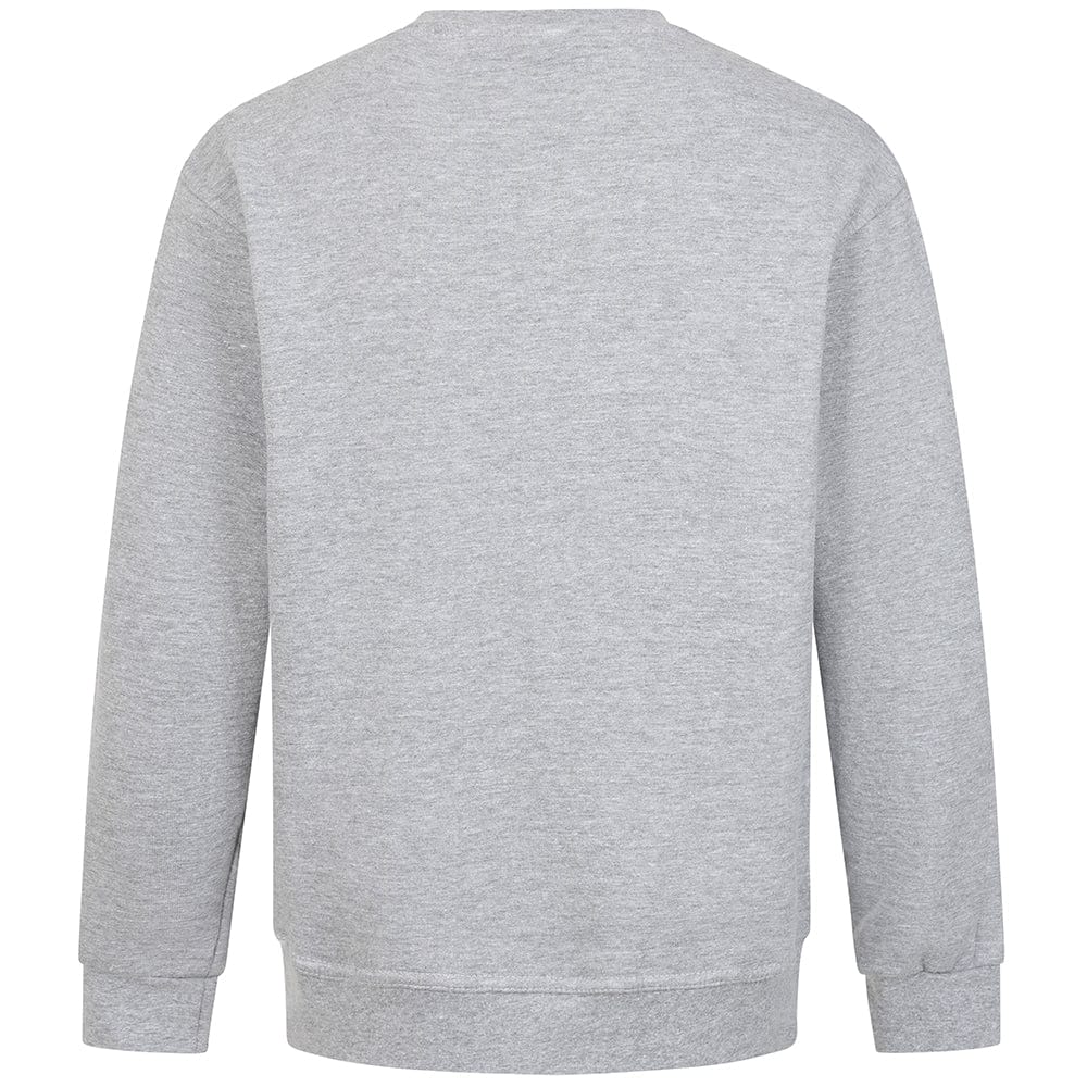 Team GB Sweatshirt Adult Team GB Stacked Large Lion Sweat  - Grey