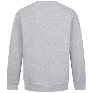 Team GB Sweatshirt Adult Team GB Stacked Large Lion Sweat  - Grey