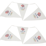 Team GB Bunting Team GB Bunting - 5metres - White
